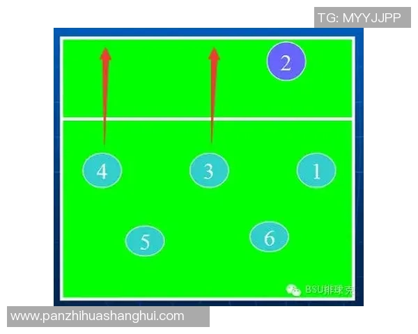 深圳排球队的节奏打法深度分析与战术解读