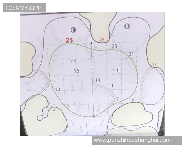 深入分析成都攀岩队的进攻策略与战术布局探讨